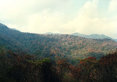 19911104_530_thumb.jpg