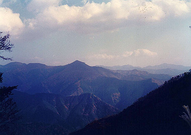 19911104_570_thumb.jpg