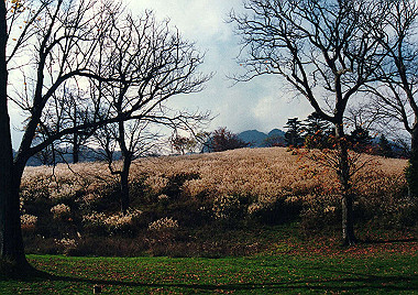 19911104_580_thumb.jpg