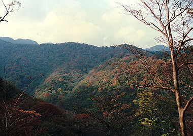 19911104_590_thumb.jpg