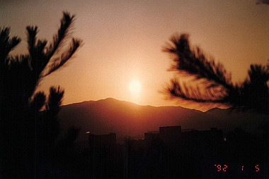 19920105_007_thumb.jpg