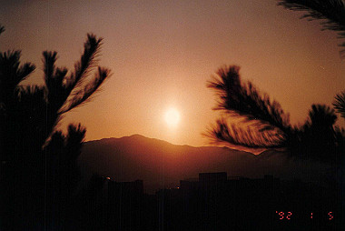 19920105_008_thumb.jpg