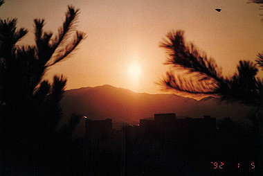 19920105_009_thumb.jpg