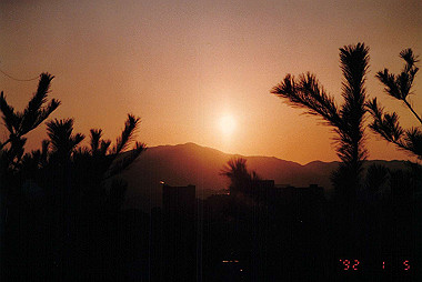 19920105_010_thumb.jpg