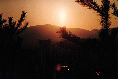 19920105_011_thumb.jpg