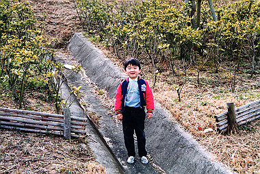 19920308_006_thumb.jpg