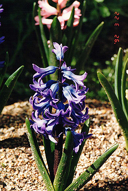 19920322_002_thumb.jpg