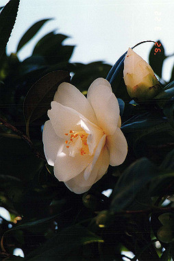 19920322_003_thumb.jpg