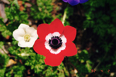 19920402_001_thumb.jpg