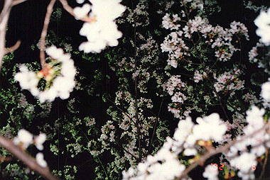 19920406_003_thumb.jpg