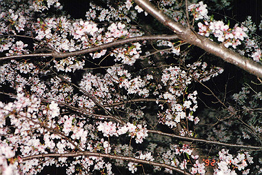19920406_004_thumb.jpg