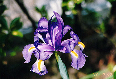19920429_004_thumb.jpg