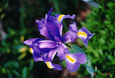 19920429_007_thumb.jpg