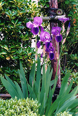 19920429_010_thumb.jpg
