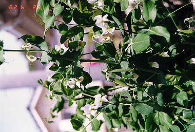 19920429_025_thumb.jpg