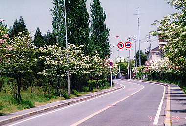 19920429_030_thumb.jpg