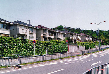 19920429_034_thumb.jpg