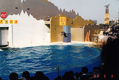 19920503_022_thumb.jpg