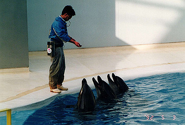 19920503_026_thumb.jpg