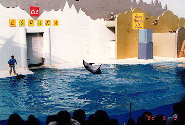 19920503_029_thumb.jpg