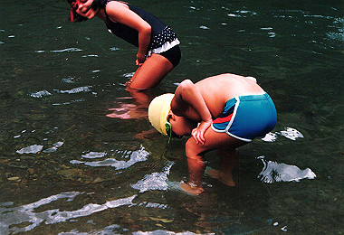 19920800_003_thumb.jpg