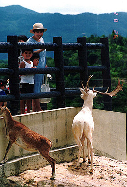 19920828_008_thumb.jpg
