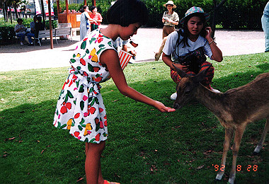 19920828_065_thumb.jpg