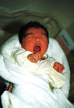 19921231_007_thumb.jpg