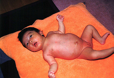 19930131_001_thumb.jpg