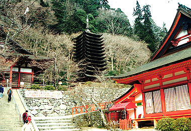 19940105_027_thumb.jpg