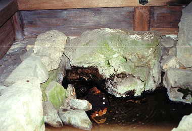 19940106_115_thumb.jpg