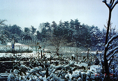 19940212_003_thumb.jpg