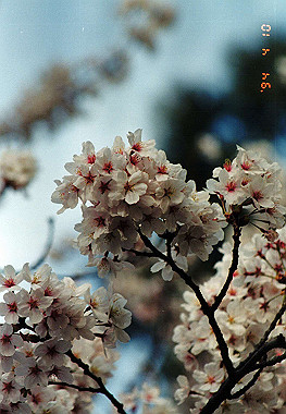 19940410_022_thumb.jpg