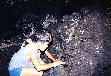 19940818_021_thumb.jpg