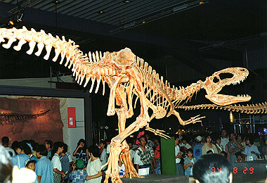 19940829_002_thumb.jpg