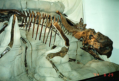 19940829_006_thumb.jpg