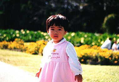 19941099_102_thumb.jpg