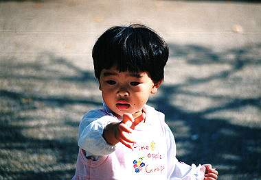 19941099_105_thumb.jpg