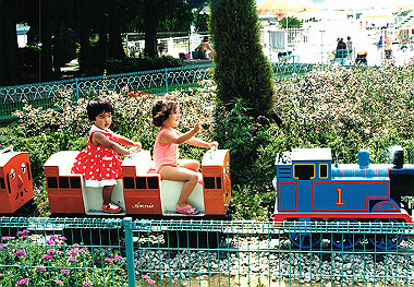 19950800_027_thumb.jpg