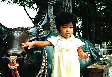 19950800_112_thumb.jpg