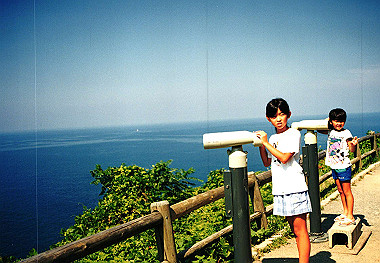19950800_208_thumb.jpg
