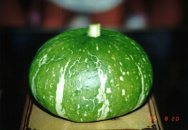 19950820_003_thumb.jpg