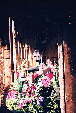 19951111_023_thumb.jpg