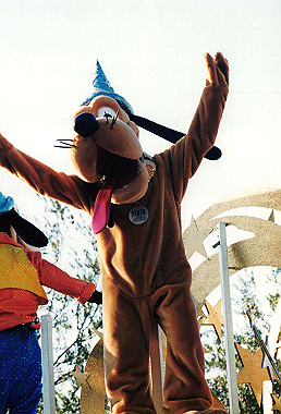 19951111_028_thumb.jpg