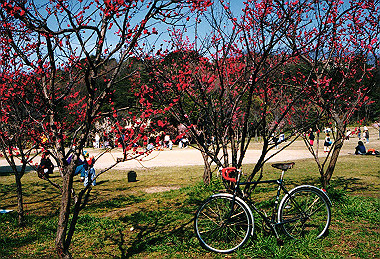 19960310_008_thumb.jpg