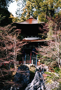 19960323_002_thumb.jpg