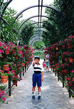 19960517_070_thumb.jpg