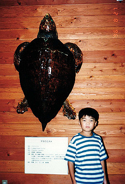 19960827_013_thumb.jpg