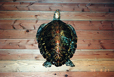 19960827_016_thumb.jpg