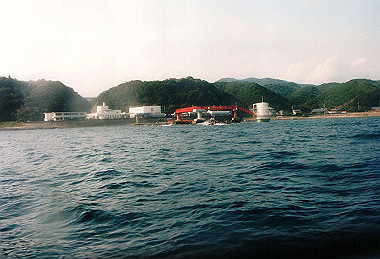 19960829_014_thumb.jpg